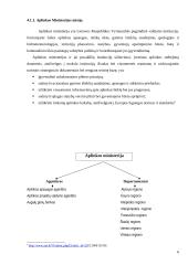 Aplinkos apsaugą užtikrinančių institucijų veikla (viešasis sektorius) 6 puslapis