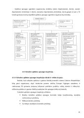 Aplinkos apsaugą užtikrinančių institucijų veikla (viešasis sektorius) 10 puslapis