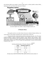 Aplinkos apsaugos problemos 13 puslapis