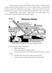 Aplinkos apsaugos problemos 14 puslapis