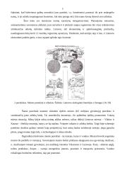 Aplinkos apsaugos problemos 5 puslapis