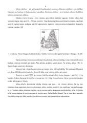 Aplinkos apsaugos problemos 6 puslapis