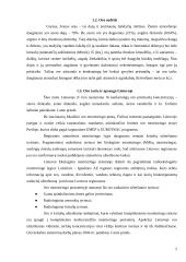 Aplinkos oro kokybė. Kairių sąvartynas 5 puslapis