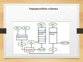 Chemijos nuotolinio mokymo pamoka. Sieros rūgštis 5 puslapis