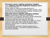 Chemijos nuotolinio mokymo pamoka. Sieros rūgštis 6 puslapis