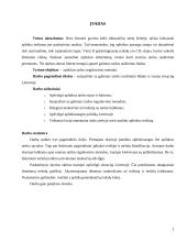 Aplinkos taršos reguliavimo metodai 2 puslapis