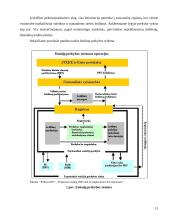 Aplinkos taršos reguliavimo metodai 13 puslapis