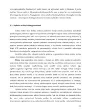 Aplinkos taršos reguliavimo metodai 15 puslapis