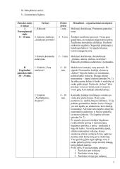 Integruotos kūno kultūros ir matematikos pamokos planas 2 puslapis