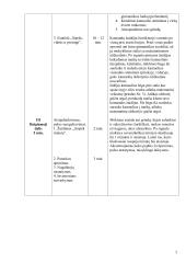 Integruotos kūno kultūros ir matematikos pamokos planas 3 puslapis