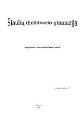 Aplinkos teršimas ir teršalų rūšys 11 puslapis