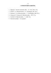 Aplinkos užterštumo problemos Lietuvoje analizė 13 puslapis