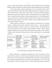 Aplinkosaugos samprata ir strategija 4 puslapis