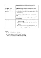 „Meilė, džiazas ir velnias“ pagrindinių veikėjų portretai - kalbėjimo planas 2 puslapis