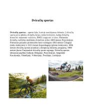 Netradicinės sporto šakos 4 puslapis