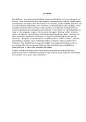 Etno žaidimai 2 puslapis