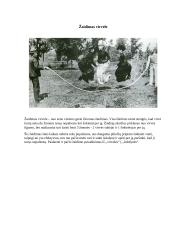 Etno žaidimai 7 puslapis