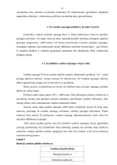 Aplinkosauga Lietuvoje ir Europos Sąjungoje (ES) 18 puslapis