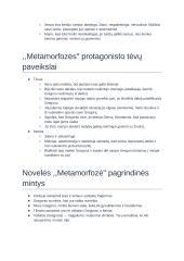 Franco Kafkos pristatymas,  ,,Metamorfozės" protagonisto Gregoro paveikslas 2 puslapis