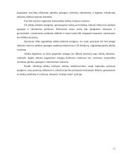 Aplinkosauginių problemų sprendimo būdai Lietuvoje 11 puslapis