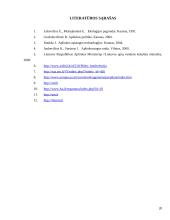 Aplinkosauginių problemų sprendimo būdai Lietuvoje 20 puslapis