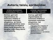 Autorių teisės. Informatikos skaidrės 7 puslapis