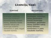 Autorių teisės. Informatikos skaidrės 9 puslapis