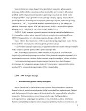 Aplinkotyra 2 puslapis