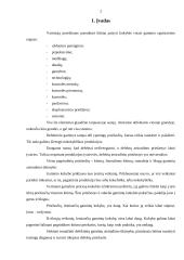 Apsisprendimas tenkinti vartotoją 2 puslapis