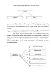 Apsisprendimas tenkinti vartotoją 4 puslapis