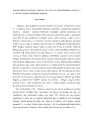 Ar atsitiktinumai gyvenime yra apgalvoti veiksmai? 5 puslapis