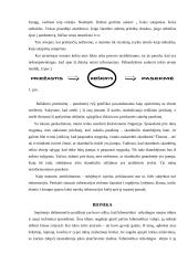 Ar atsitiktinumai gyvenime yra apgalvoti veiksmai? 8 puslapis