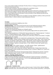 Archeologijos istorija 3 puslapis