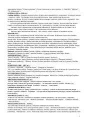 Archeologijos istorija 4 puslapis