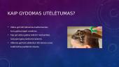 Utėlės 5 puslapis