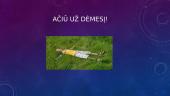Utėlės 6 puslapis