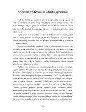 Aristotelio efektyviausios valstybės aprašymas 4 puslapis