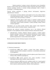 Atnaujintas dailės ilgalaikis planas 3 klasei (1 pamoka per savaitę) 2 puslapis