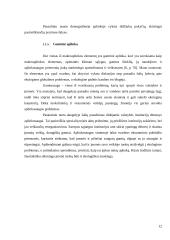 „DPA programinė įranga“ mikroaplinka ir makroaplinka bei jų įtaka įmonės funkcionavimui 11 puslapis