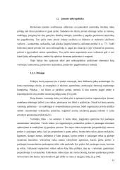 „DPA programinė įranga“ mikroaplinka ir makroaplinka bei jų įtaka įmonės funkcionavimui 12 puslapis