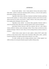 „DPA programinė įranga“ mikroaplinka ir makroaplinka bei jų įtaka įmonės funkcionavimui 2 puslapis