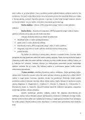 „DPA programinė įranga“ mikroaplinka ir makroaplinka bei jų įtaka įmonės funkcionavimui 5 puslapis