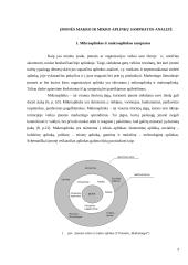 „DPA programinė įranga“ mikroaplinka ir makroaplinka bei jų įtaka įmonės funkcionavimui 6 puslapis