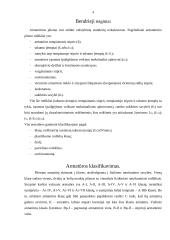 Armatūros dirbiniai 4 puslapis