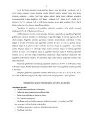 Armatūros dirbiniai 5 puslapis