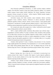 Armatūros dirbiniai 7 puslapis