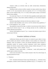 Armatūros dirbiniai 8 puslapis