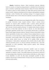 Intelektinės transporto sistemos Lietuvoje 13 puslapis