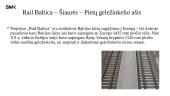 Rail Baltica – amžiaus projektas 2 puslapis