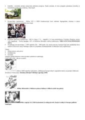 Istorijos 12 klasės konspektas 9 puslapis